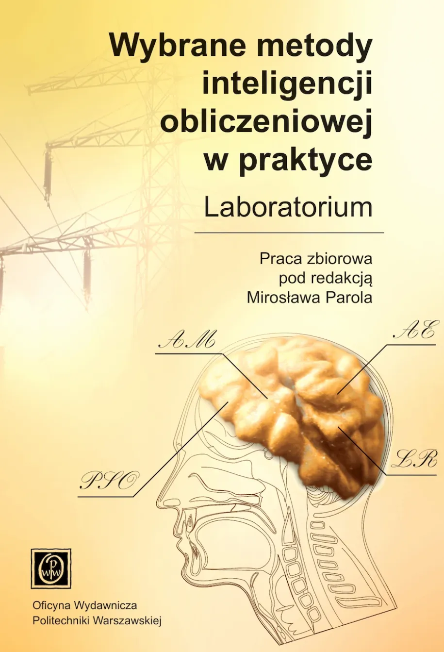 Wybrane metody inteligencji obliczeniowej w praktyce. Laboratorium